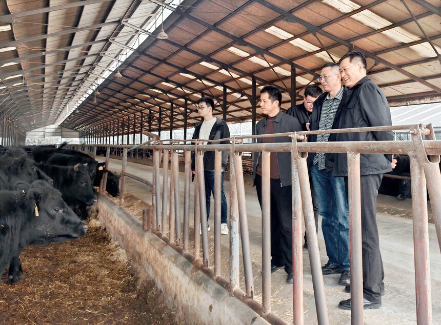 1731978662556734.jpg 1731978662556734.jpg